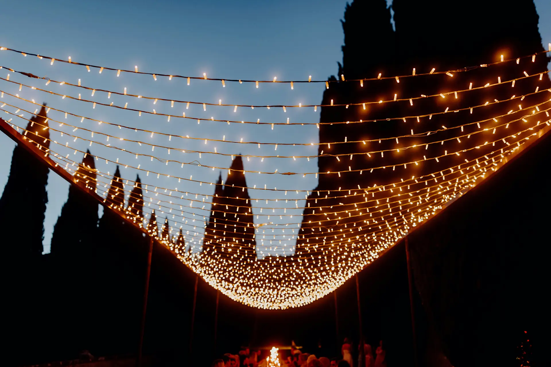 Outdoor string lights hanging over a gathering with tall dark trees at dusk.